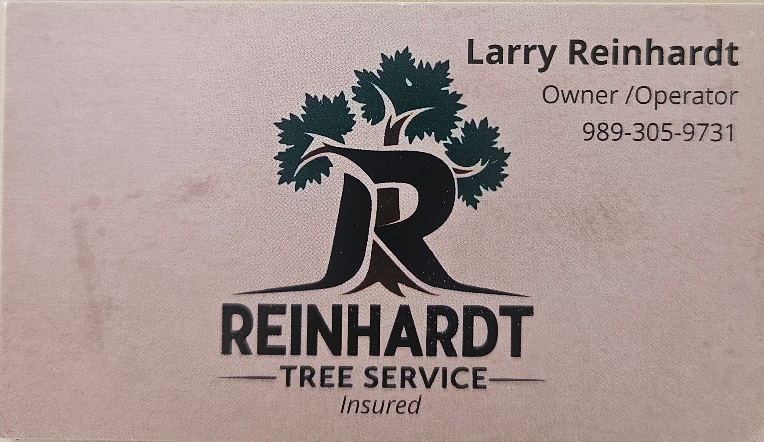 Graphic for sponsor Reinhardt Tree Service